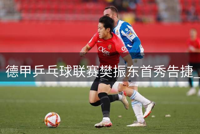 德甲乒乓球联赛樊振东首秀告捷 助杜塞尔多夫3-1取胜
