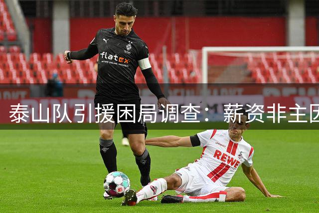 泰山队引援困局调查：薪资非主因 管理短板与舆论高压成致命伤