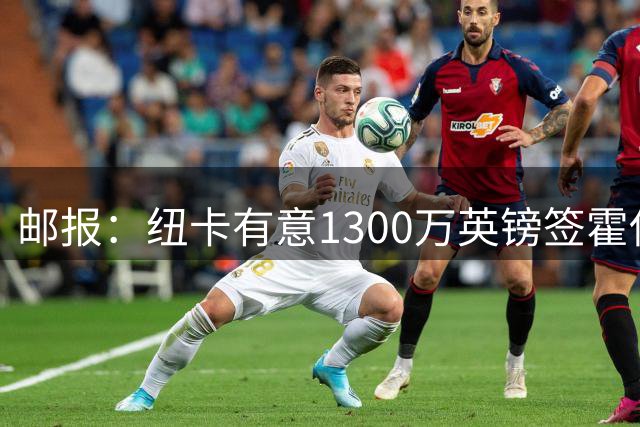 邮报：纽卡有意1300万英镑签霍伊别尔 同时在关注帕利尼亚