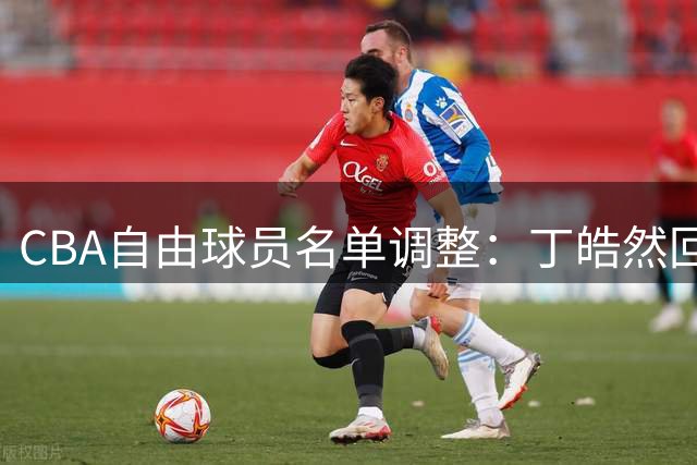 CBA自由球员名单调整：丁皓然回归 苏若禹离队